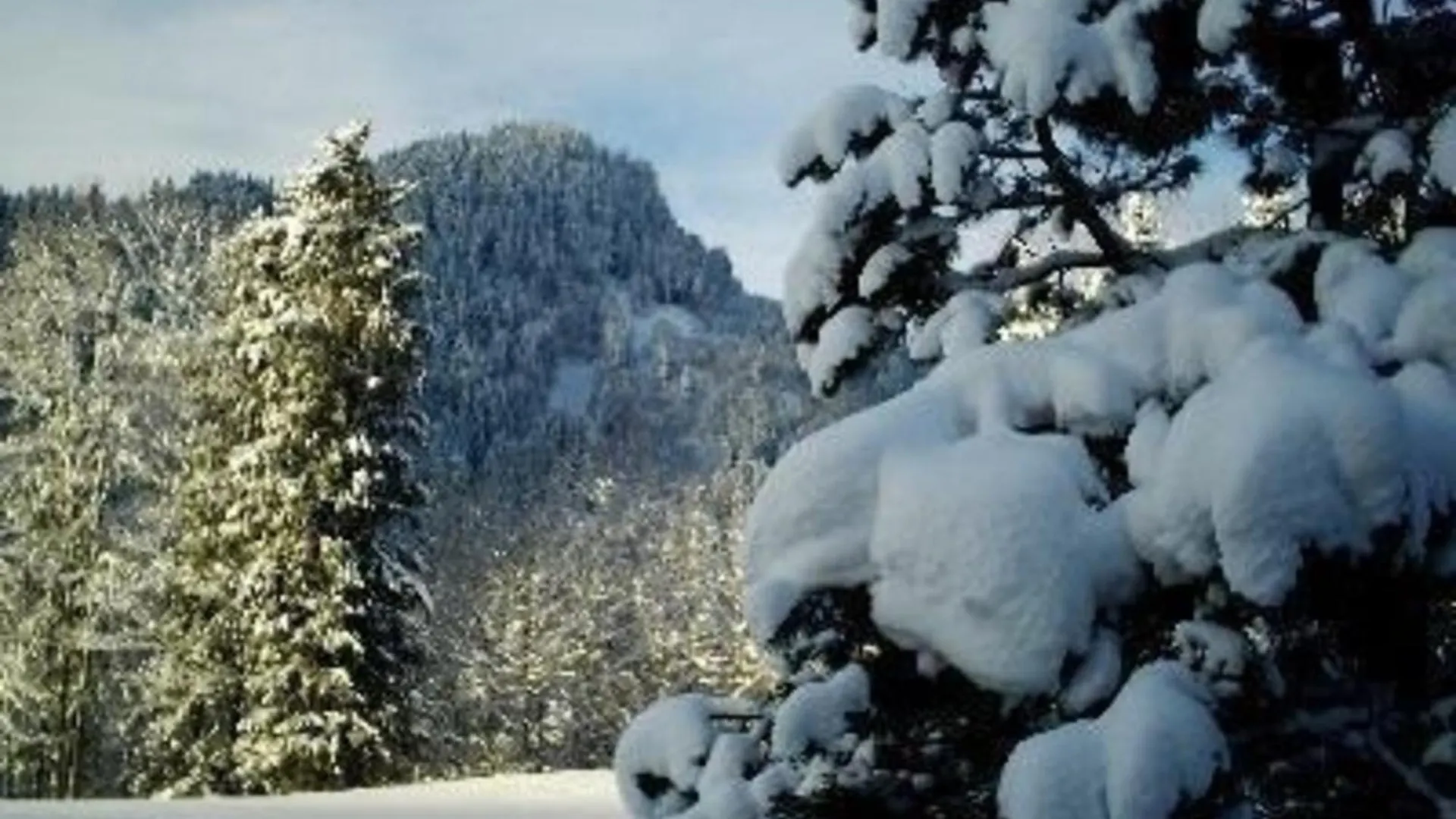 Wohnung Haus Falkenberg Nr 114 Mit Balkon Oberstdorf Germany