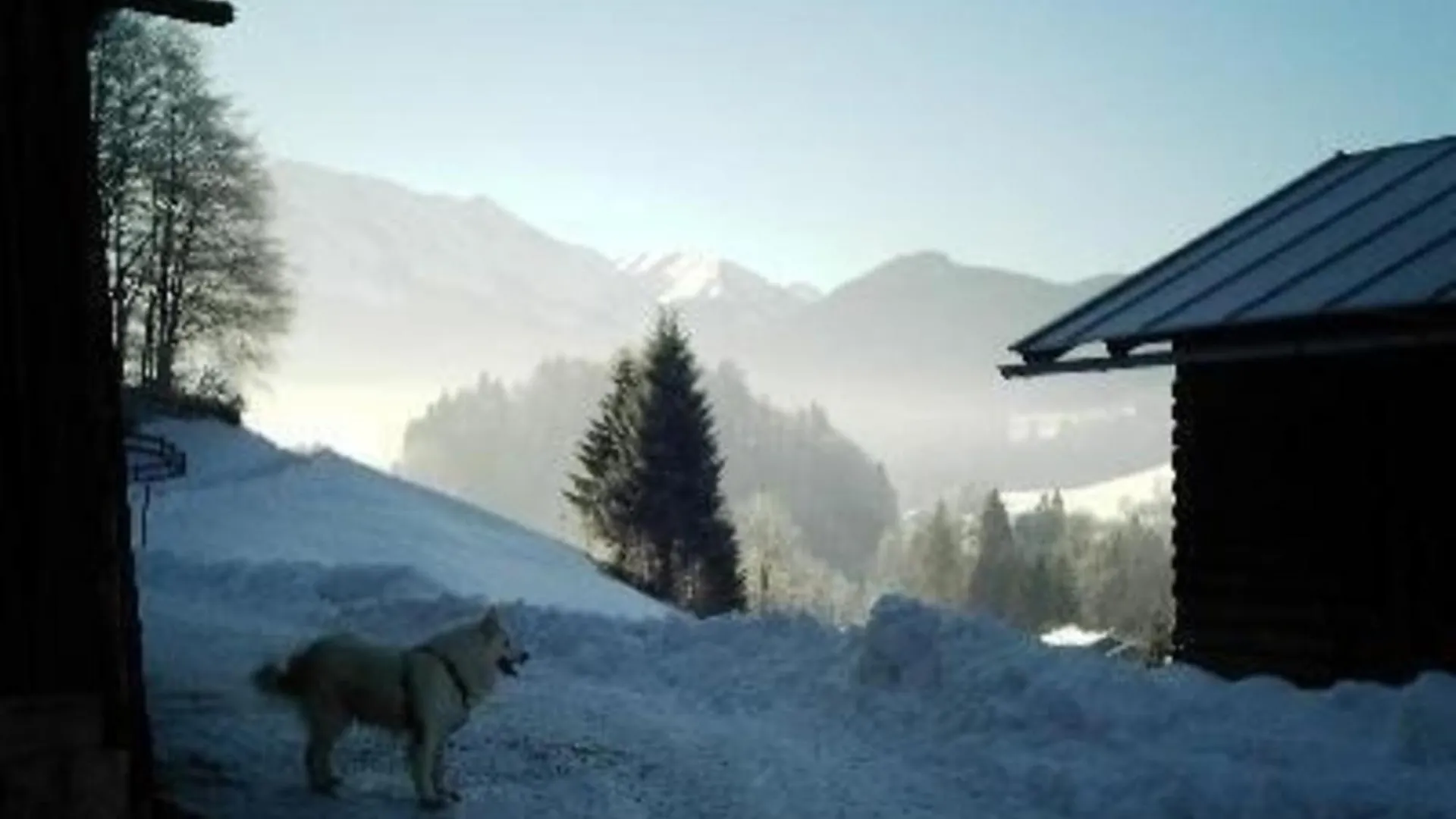 Lägenhet Wohnung Haus Falkenberg Nr 114 Mit Balkon Oberstdorf